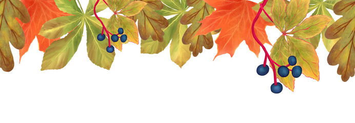 Hand drawn bright autumn leaves seamless horizontal banner, isolated on transparent background, perfect for autumn, fall and Thanksgiving designs.

