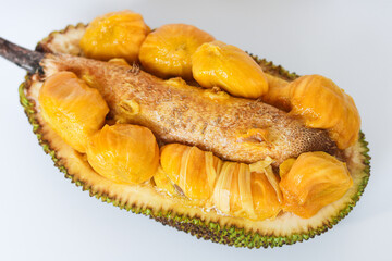 A closeup of a halved cempedak, showcasing the sweet and fragrant fruit segments that are a beloved tropical delicacy in Southeast Asia.