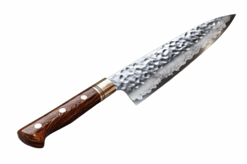Chef’s Japanese Gyuto Knife