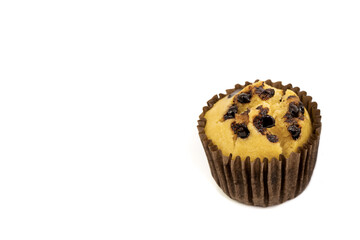 Fresh homemade delicious vanila and chocolate muffins in paper cupcake holder isolated on white background.  With copy space for texts.