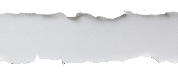 Torn white paper banner with copy space on isolated background, blank template for text or message