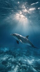 Fototapeta premium Dolphin swims under sunlight filtering through water, over a sandy ocean floor