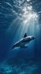 Fototapeta premium Dolphin swims gracefully through deep blue ocean waters with sun rays streaming above