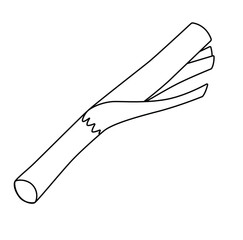 Cute cartoon hand drawn vector leek vegetable outline.