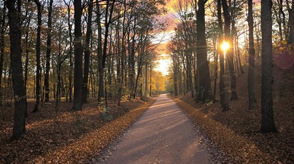 Obraz premium Golden Mist in Autumn Forest