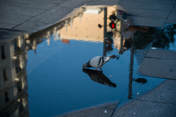 Fototapety na wymiar - Fototapeta24.pl