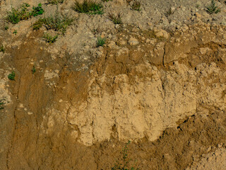 Risse Furchen und Vegetation im Lehmboden