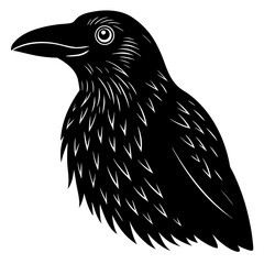 eagle vector illustration