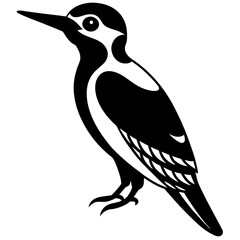vector illustration of a bird