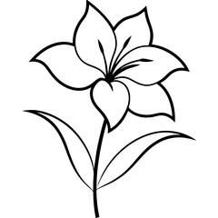 lily flower isolated on white