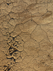 Risse Furchen und Vegetation im Lehmboden
