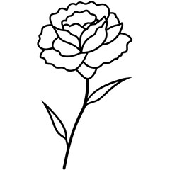 rose vector illustration