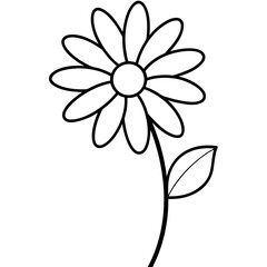 white flower on a black background