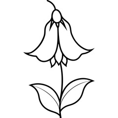vector illustration of a flower