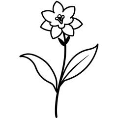 black and white flower