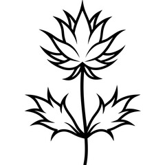 black and white flower