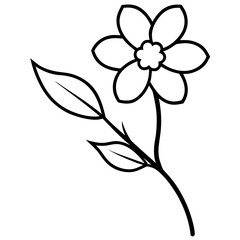 black and white flower