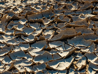 Risse Furchen und Vegetation im Lehmboden