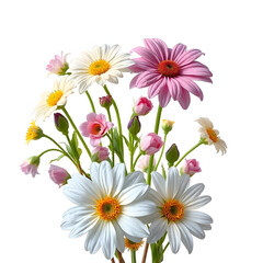Fototapeta premium bouquet of daisies