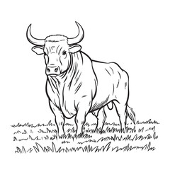 Powerful bull standing in a field detailed sketch