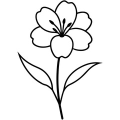 Fototapeta premium hand drawn flower