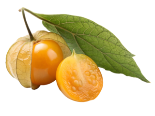Fresh cape gooseberry with leaf isolated on transparent background, a healthy fruit
