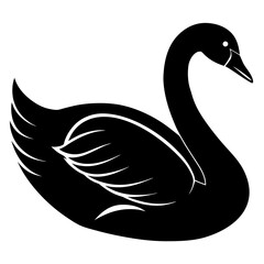 Obraz premium black swan vector illustration