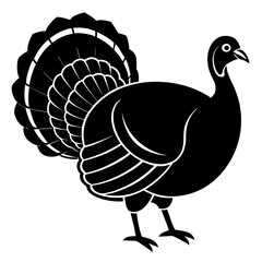 vector illustration of turkey