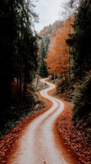 Obraz premium Winding Road Through Vibrant Autumn Forest with Colorful Foliage