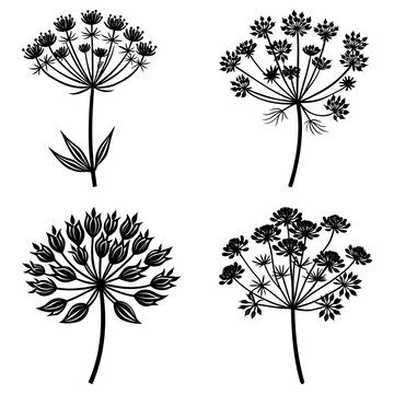 Four black and white floral arrangements with different flower types and stem details in a simple style