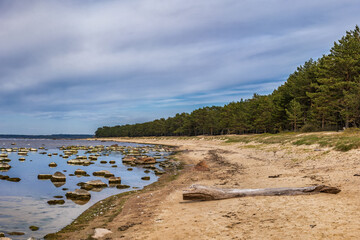 Baltic Sea Coast At Lohusalu Bay In Estonia