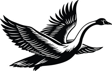 Obraz premium Illustration of a swan in flight isolated on white background, a graceful and elegant waterfowl in nature