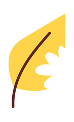 Yellow natural leaf biodegradable waste