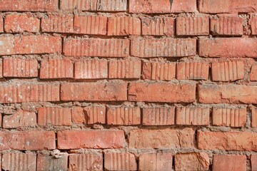 Rough-textured red bricks form a weathered wall. Small splatters and cracks add character, showcasing rustic charm and architectural strength