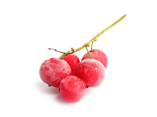 Red frozen currant berries isolated on white