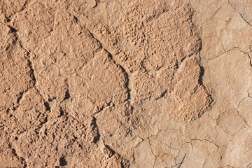 Dry Cracked Earth texture. An arid landscape with cracked, dry earth patterns in a warm brown hue