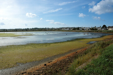 reserve naturelle des marais de Pen Mané; Locmiquélic; 56, Morbihan, France