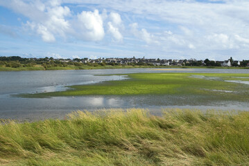 reserve naturelle des marais de Pen Mané; Locmiquélic; 56, Morbihan, France