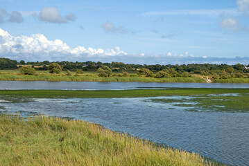 reserve naturelle des marais de Pen Mané; Locmiquélic; 56, Morbihan, France