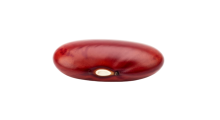 single kidney bean macro photography for food blogs and packaging