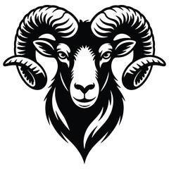 vector illustration of a sheep