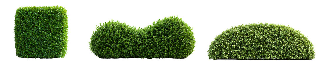 Obraz premium Various Shapes of Green Bushes and Shrubs for Landscaping Design Isolate on Transparent Background, cutout, png