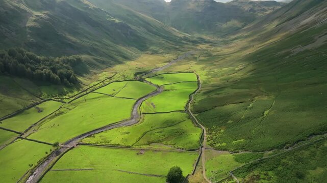 Summer Sunlit Wide Green Valley With Winding Stream And Walled Fields With Pools Of Summer Sunshine. Mickleden Valley, Great Langdale, Lake District, Cumbria, UK.