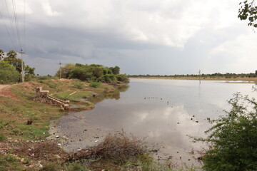 Green Harvesting Land for Agriculture with Fresh Crops and Natural Landscape