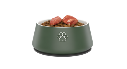Dog food bowl with meat and kibble isolated on transparent background