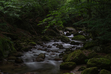 Obraz premium 山梨県北杜市の本谷川、長時間露光で捉えた神秘的な渓流風景。手つかずの自然が残る秘境の森で、絹のように滑らかな水の流れが苔むした岩の間を縫う。静寂と癒やしに満ちた、荘厳な一枚。