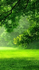 Obraz premium Lush Green Landscape with Vibrant Leaves and Soft Background Light