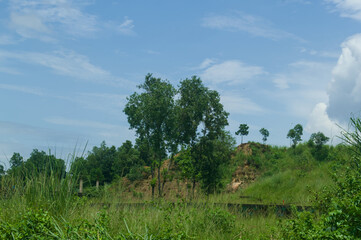 Fototapeta premium Serene Landscape with Lush Greenery and a Blue Sky Naturalistic Scenic View of Nature