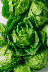 Obraz premium Fresh romaine lettuce heads, vibrant green leaves, ready for a healthy salad or nutritious side dish.