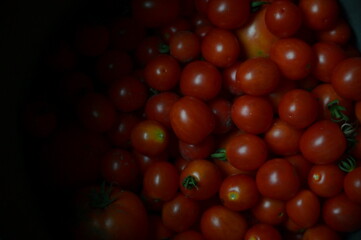 Cherry Tomatoes